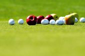 Golfwoche mit Platzreifekurs